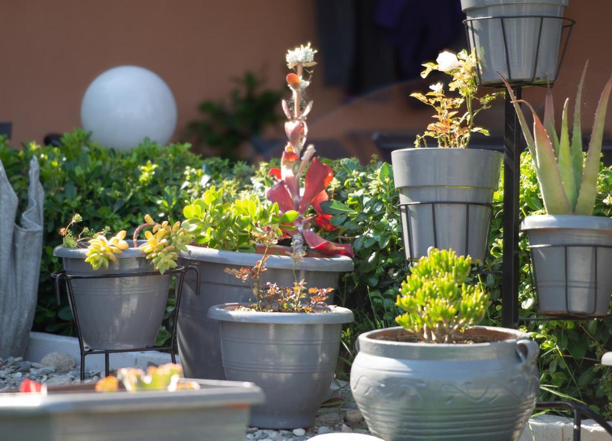 Appartamento House Toula Elegant Sarti Esterno foto